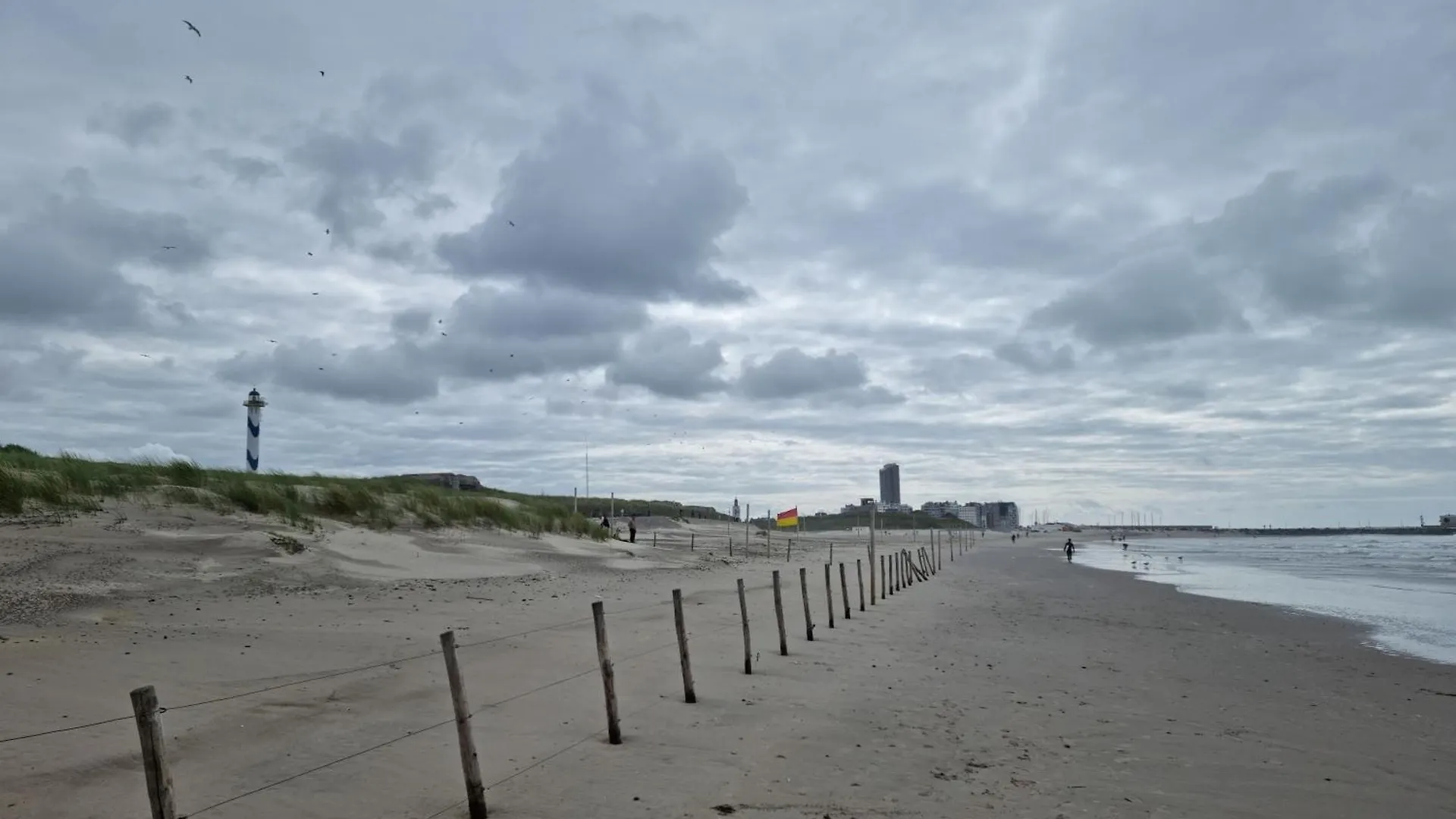 Central Park Fenomenaal App Met Zwembad En Gym! Ostend Belgium